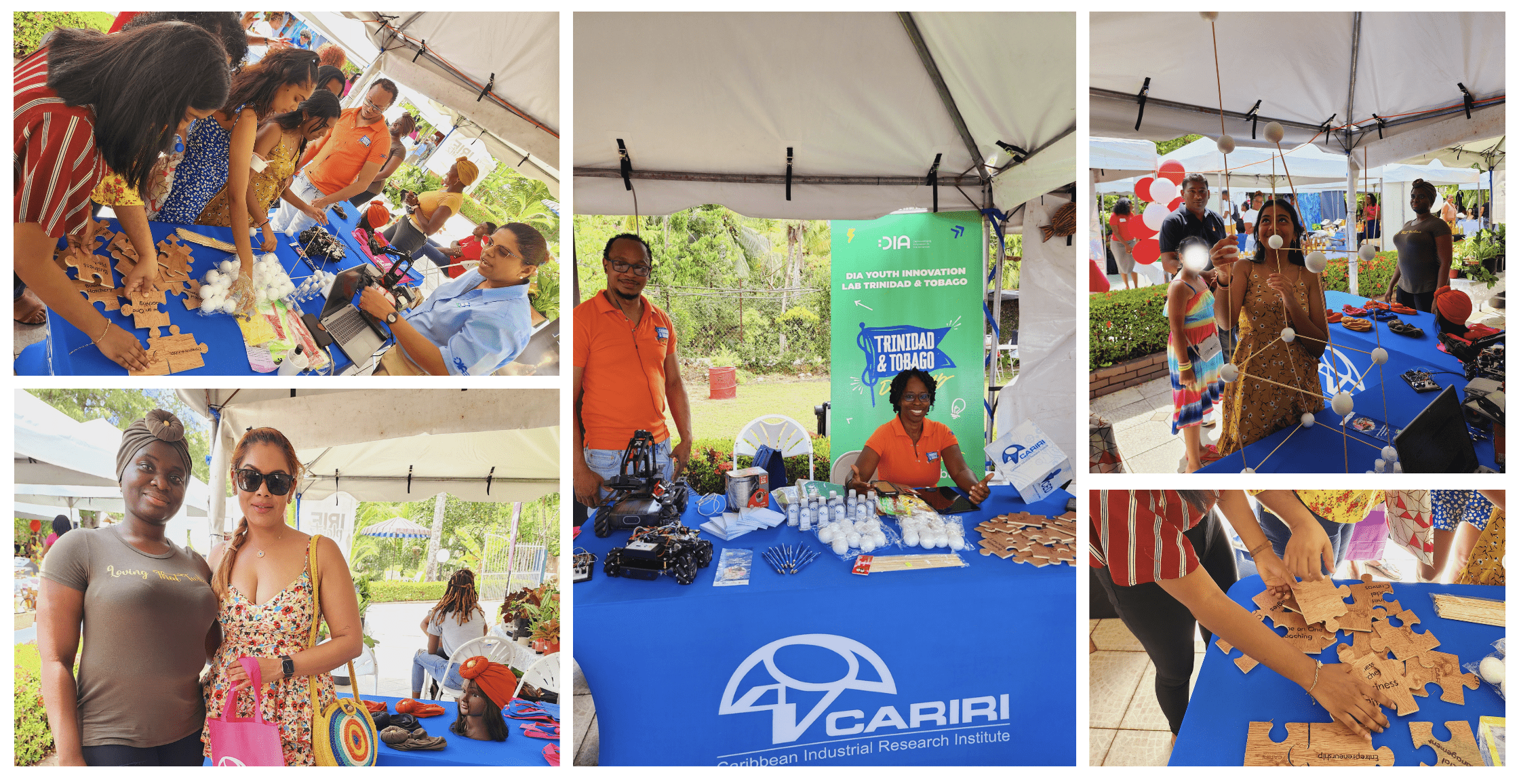 Showcasing the DIA Lab TT at the Village Wallawah Event