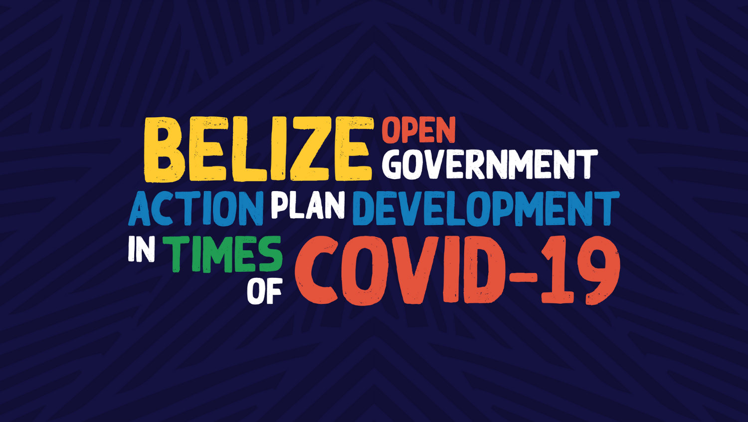 The OAS, The Trust for the Americas and the Open Gov Steering Committee will create the Open Gov National Action Plan