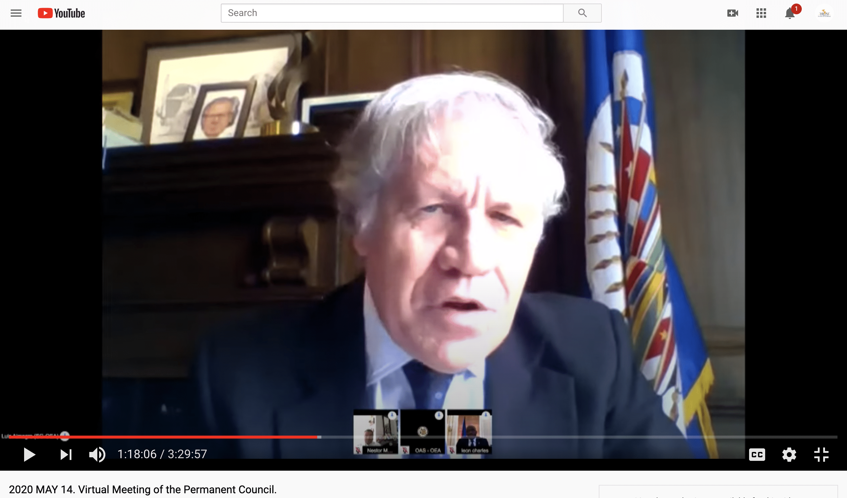 May 14, 2020. Permanent Council of the OAS via Youtube Live